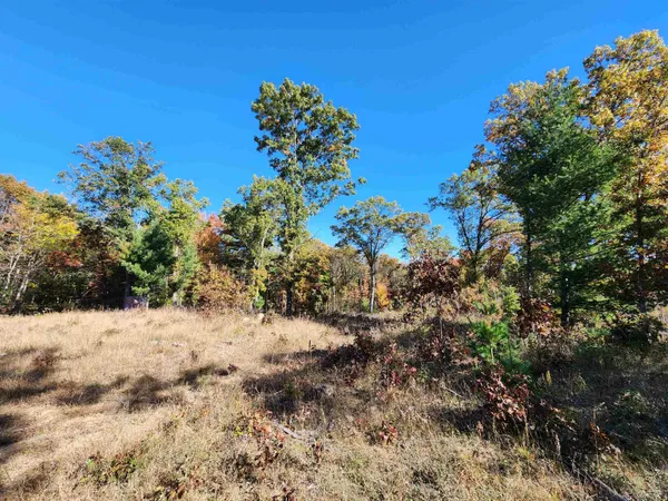 $500,000 | 49.79-ac Forest, Hancock, WI 54943