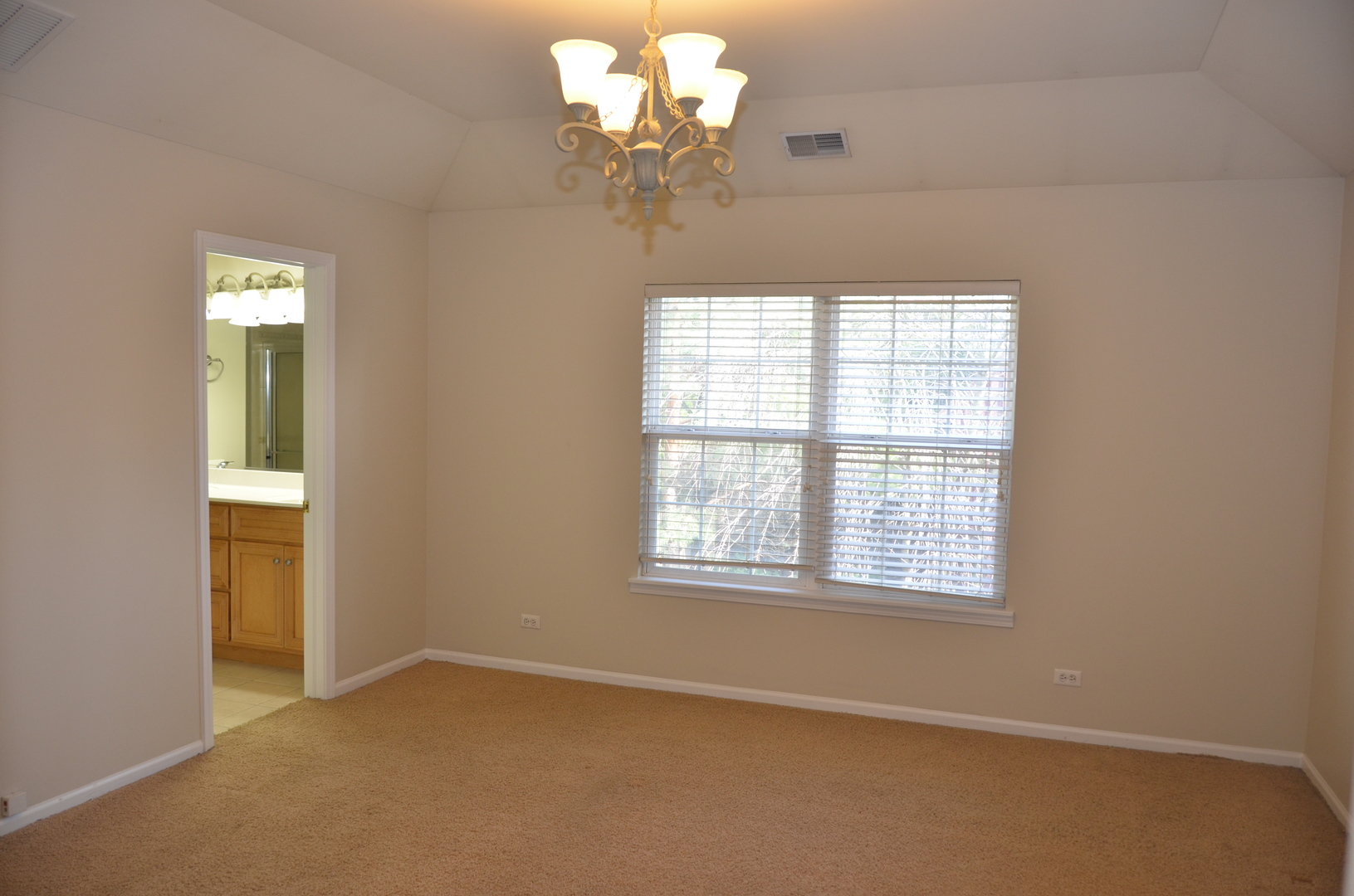408 North River Road, Unit 408 Naperville, IL 60540 - Photo 17 of 36 a view of a chandelier and a chandelier fan in a room