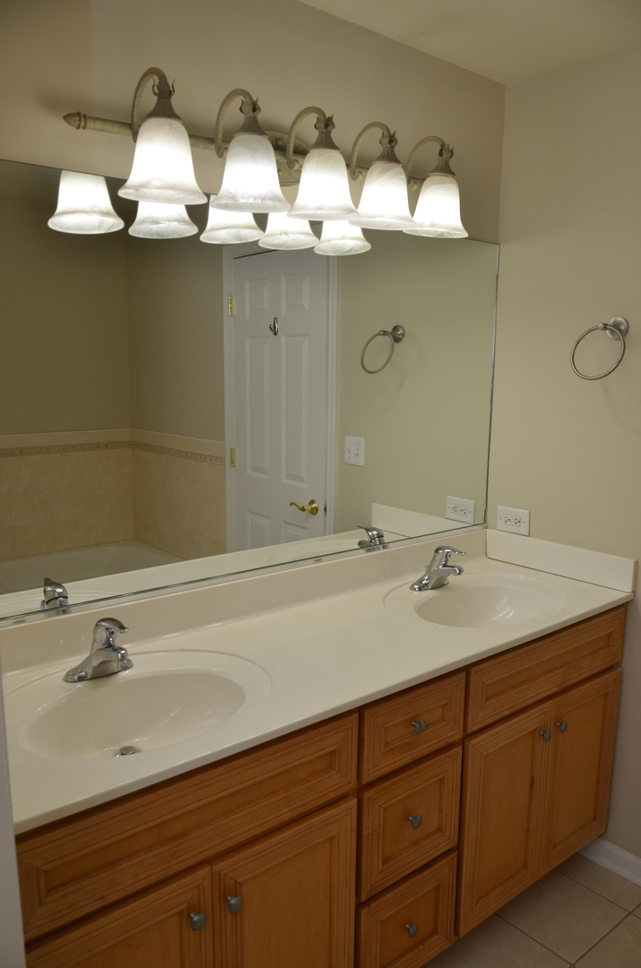 408 North River Road, Unit 408 Naperville, IL 60540 - Photo 19 of 36 a bathroom with a sink and a mirror
