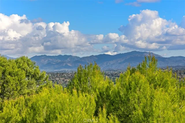 a view of a bunch of trees and a yard