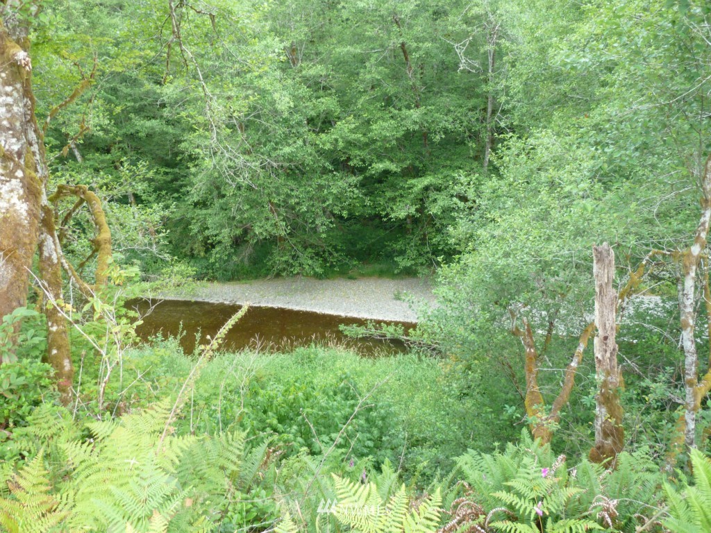 323 Cloquallum Road Elma, WA 98541 - Photo 1 of 12 Gallery Image 1