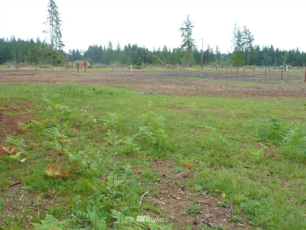 323 Cloquallum Road Elma, WA 98541 - Photo 11 of 12 Gallery Image 11