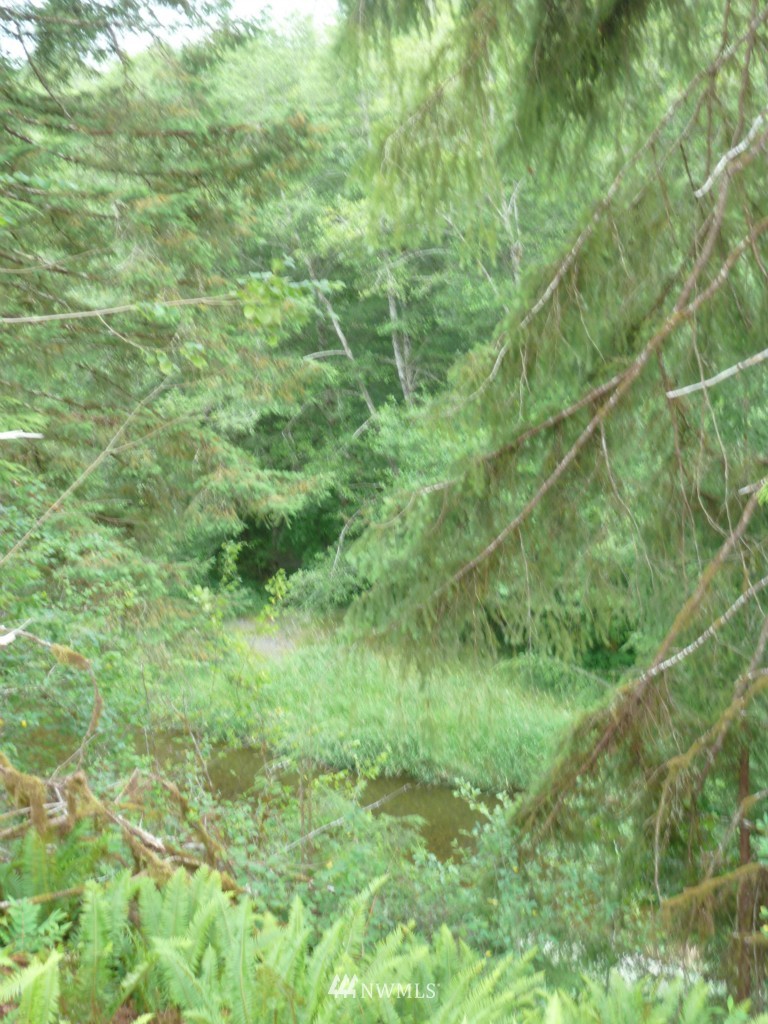 323 Cloquallum Road Elma, WA 98541 - Photo 12 of 12 Gallery Image 12