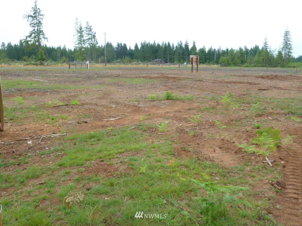 323 Cloquallum Road Elma, WA 98541 - Photo 8 of 12 Gallery Image 8
