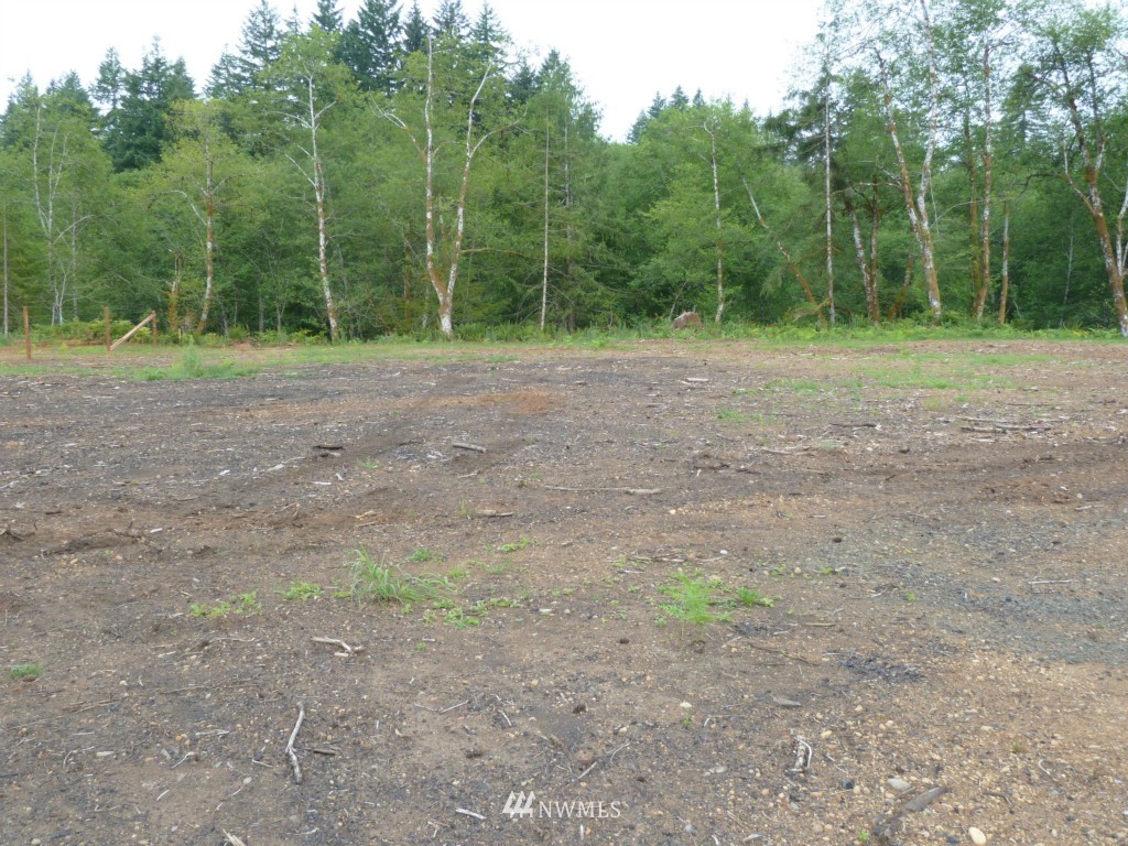 323 Cloquallum Road Elma, WA 98541 - Photo 9 of 12 Gallery Image 9