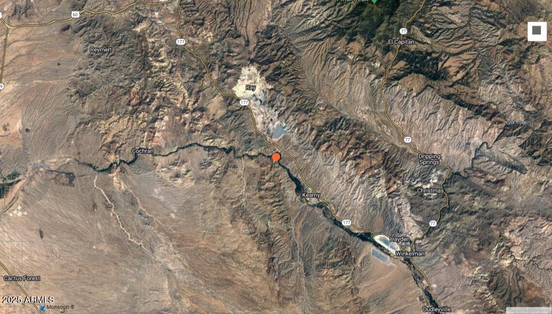 25125 North Ruth Drive, Unit 28 Kearny, AZ 85137 - Photo 3 of 4 a backyard of a house with large trees