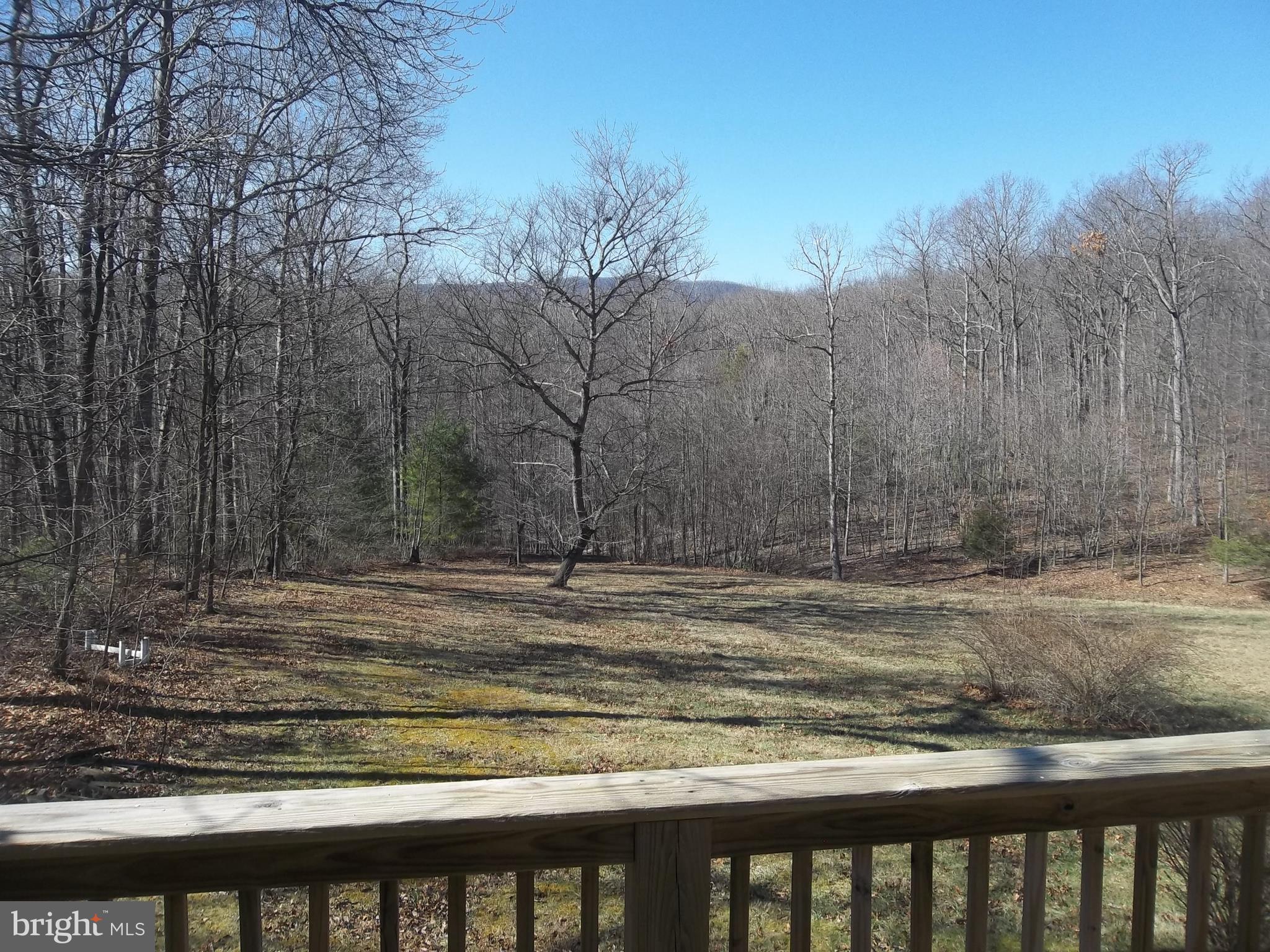 1167 Thunder Road Front Royal, VA 22630 - Photo 26 of 86 View from the Kitchen Window