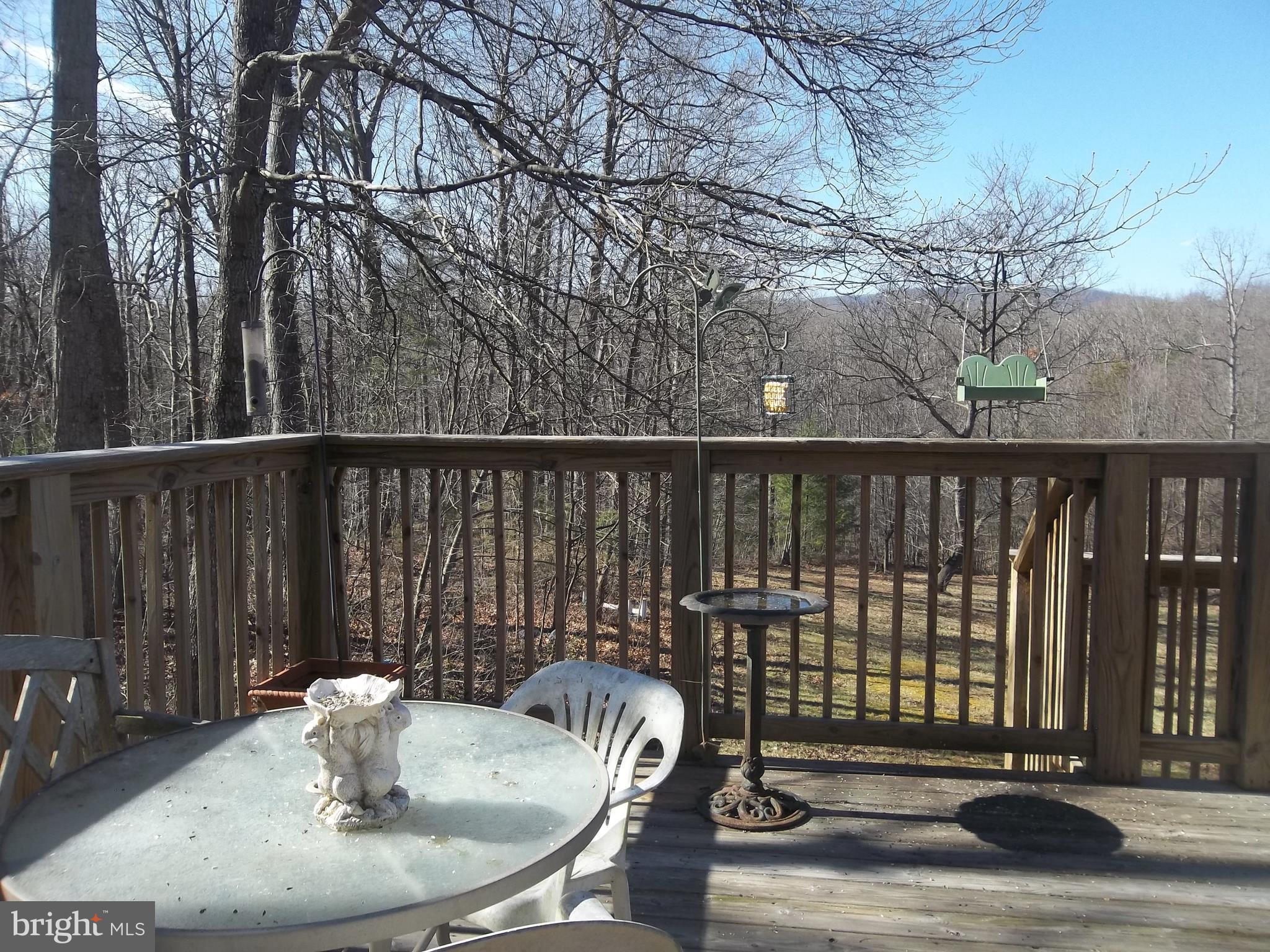 1167 Thunder Road Front Royal, VA 22630 - Photo 69 of 86 Rear Deck