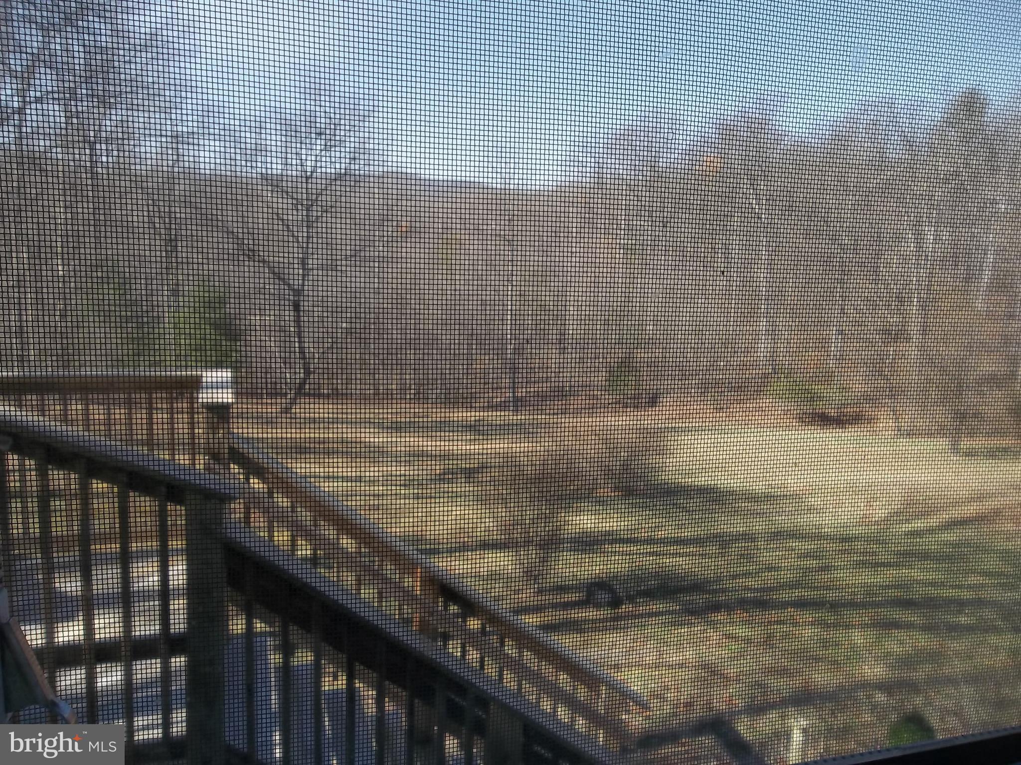 1167 Thunder Road Front Royal, VA 22630 - Photo 72 of 86 View from screened area