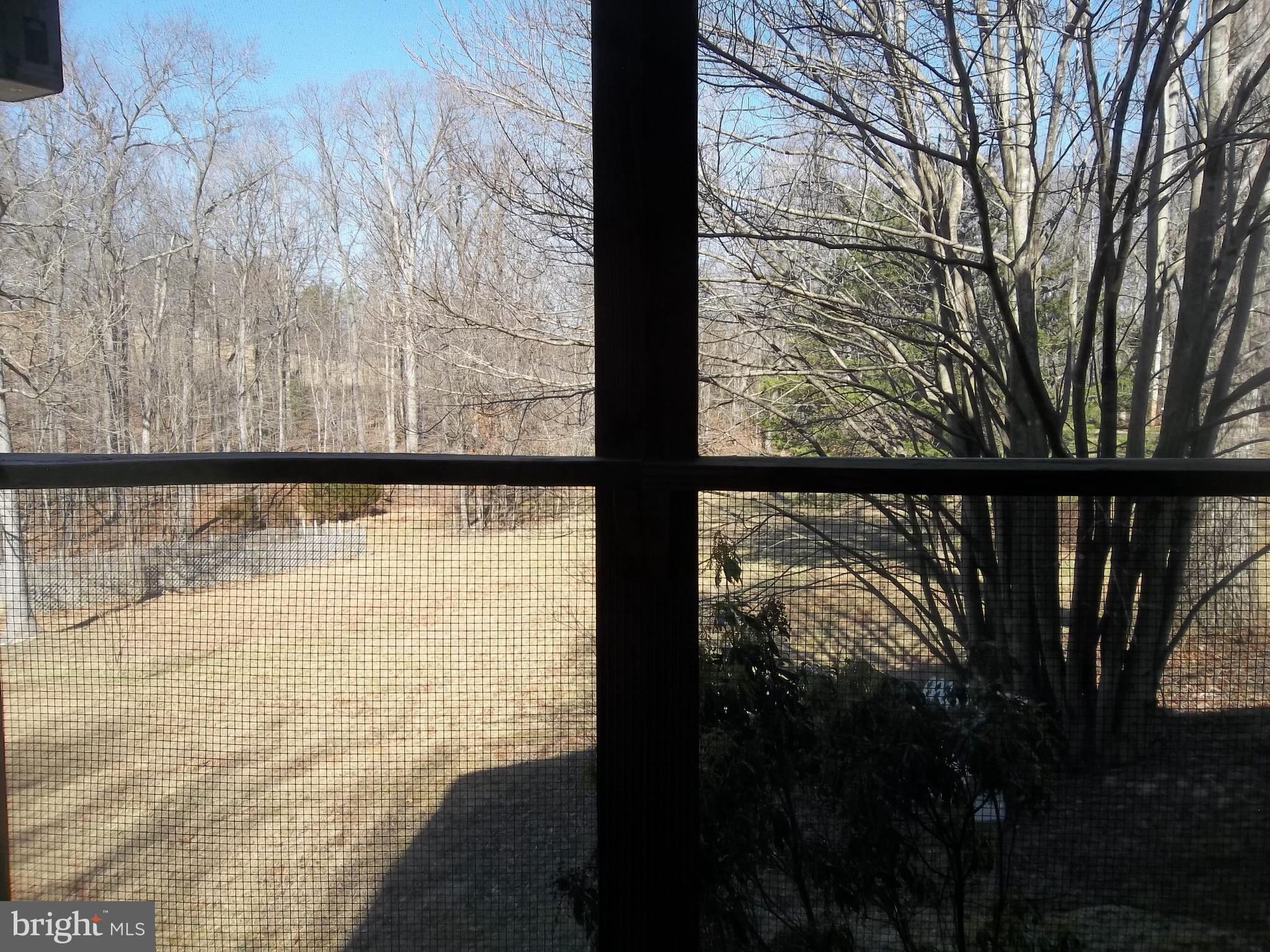 1167 Thunder Road Front Royal, VA 22630 - Photo 73 of 86 View from Screened area