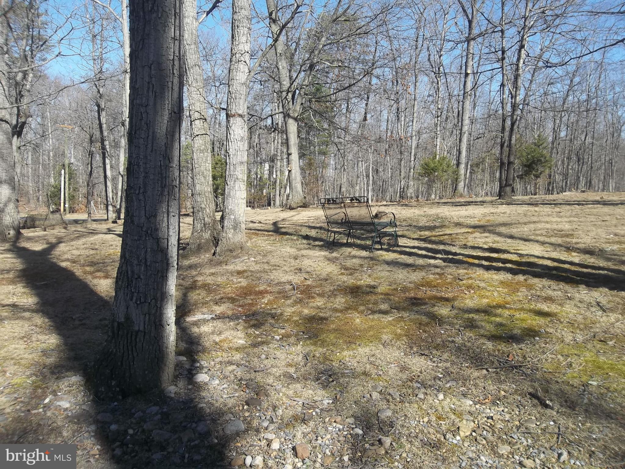 1167 Thunder Road Front Royal, VA 22630 - Photo 77 of 86 Park Like Setting