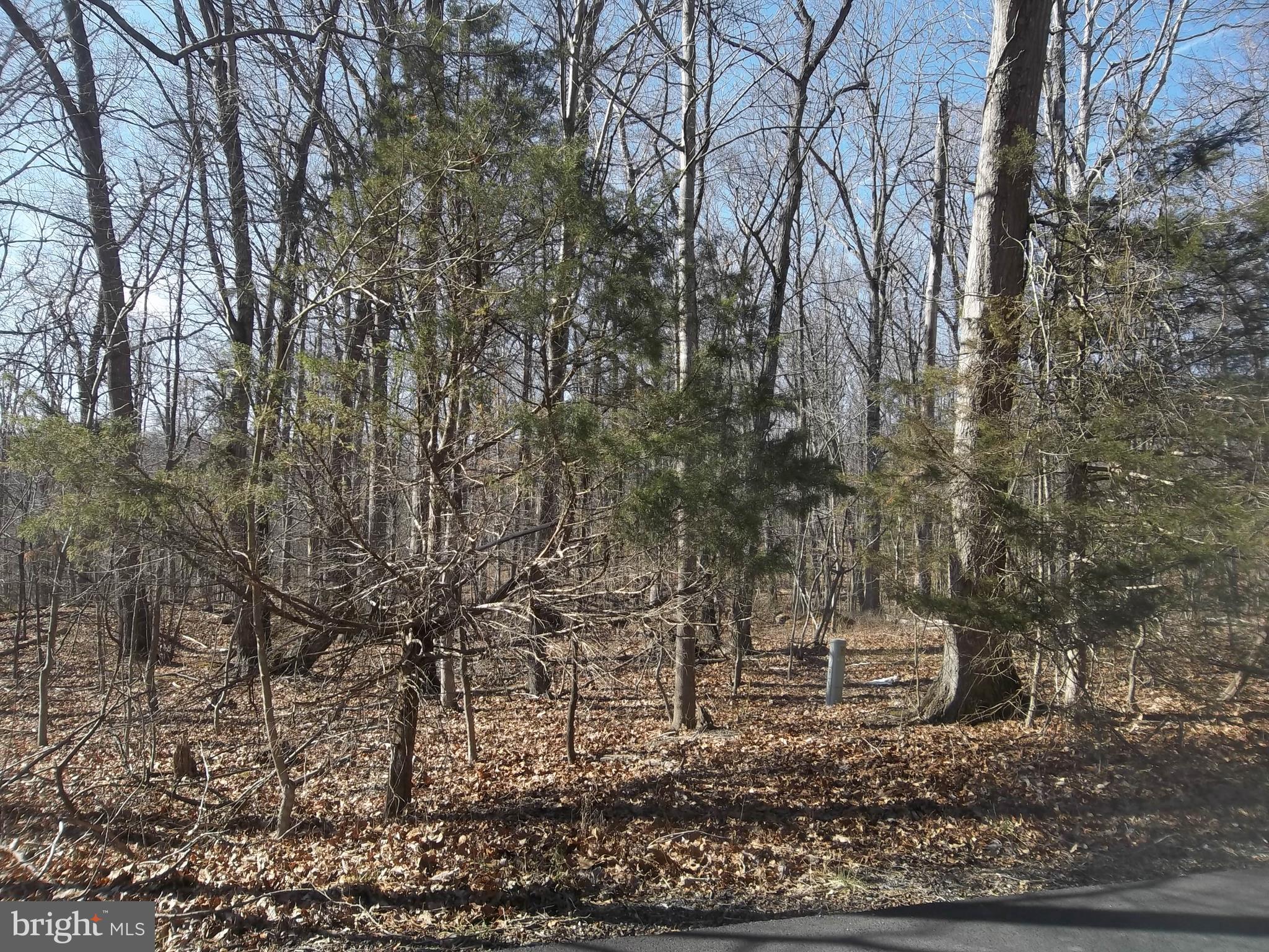 1167 Thunder Road Front Royal, VA 22630 - Photo 83 of 86 Extra 5 acre Lot