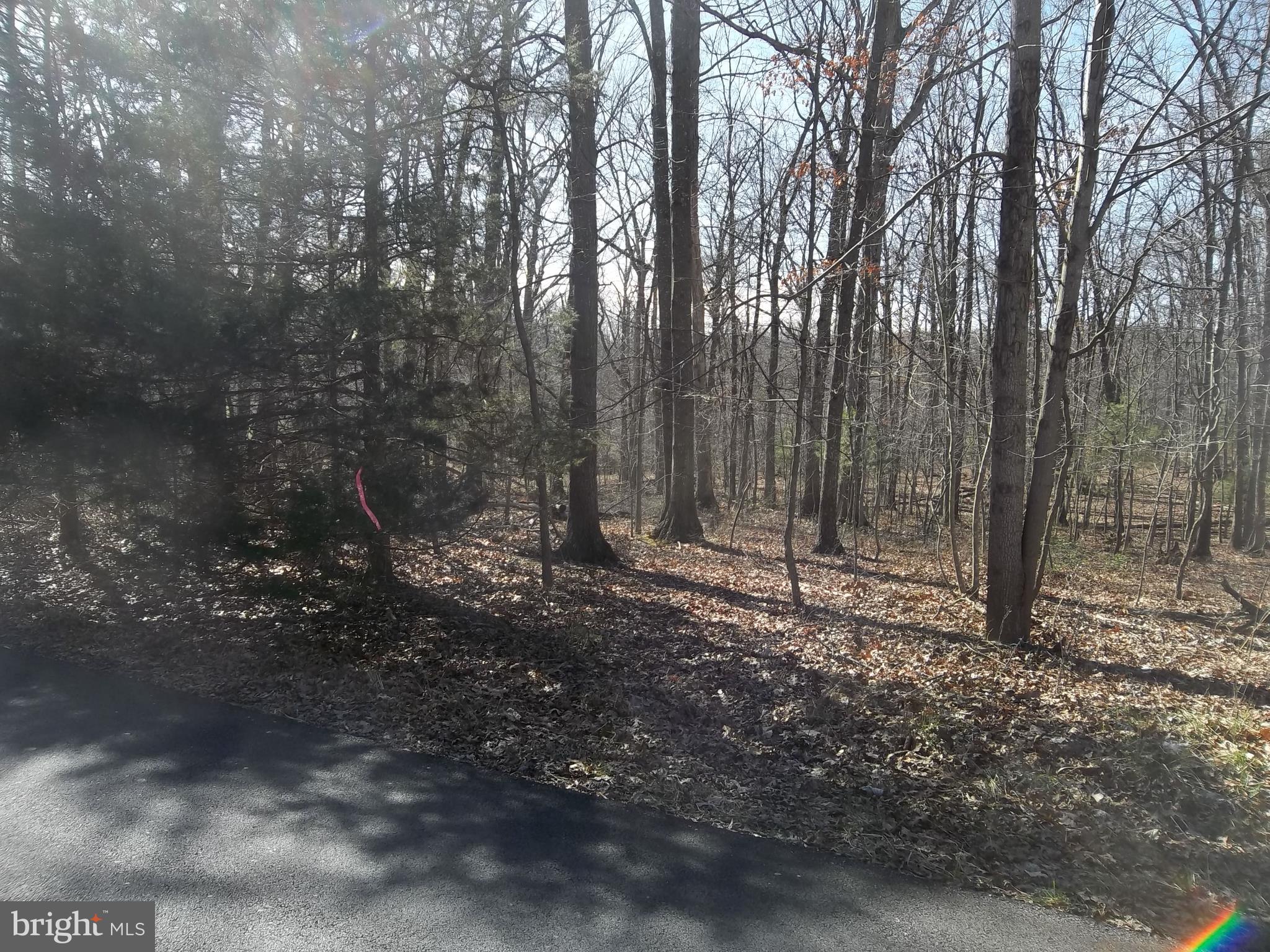 1167 Thunder Road Front Royal, VA 22630 - Photo 84 of 86 Extra 5 acre Lot