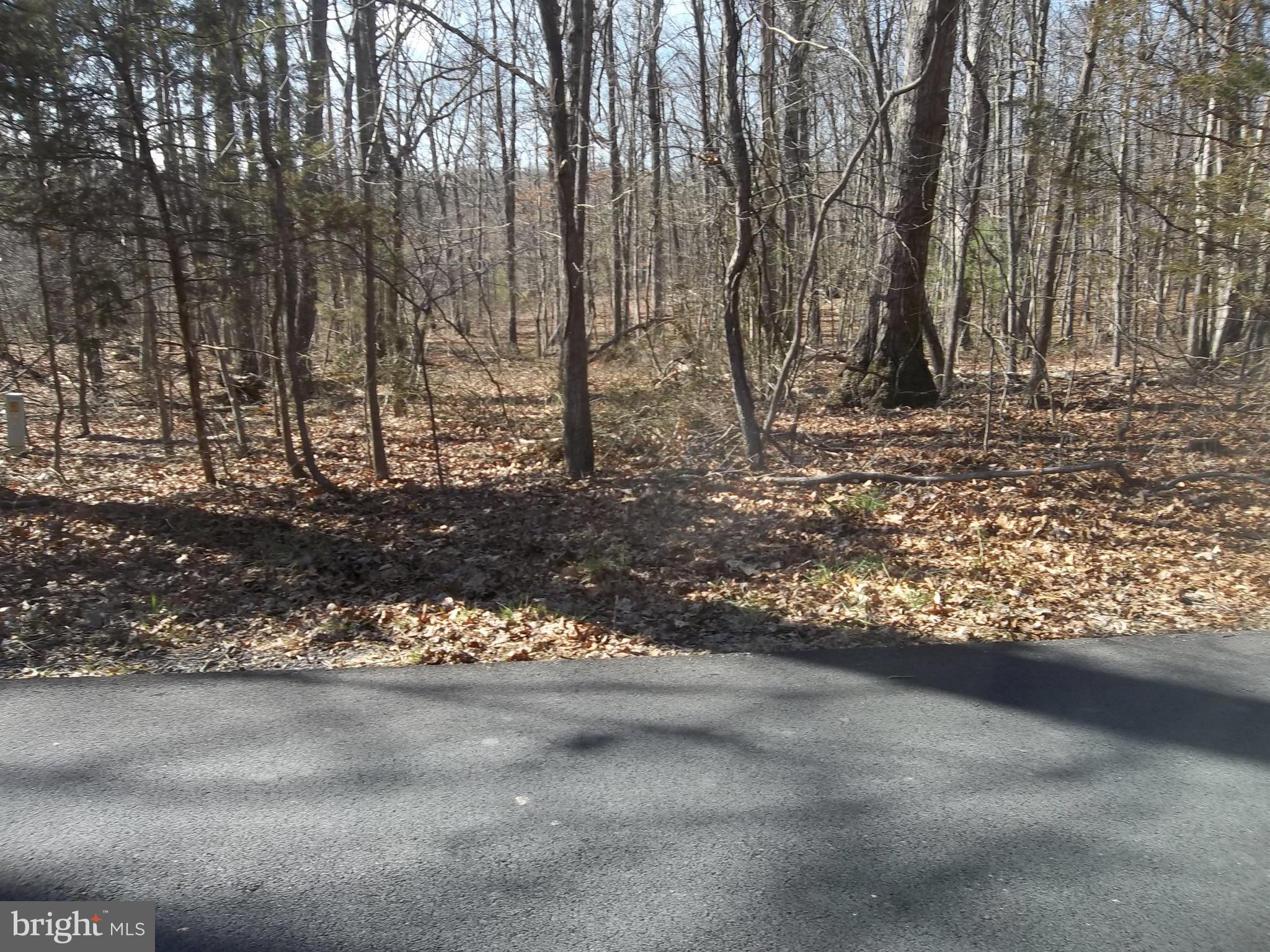 1167 Thunder Road Front Royal, VA 22630 - Photo 85 of 86 Extra 5 acre Lot