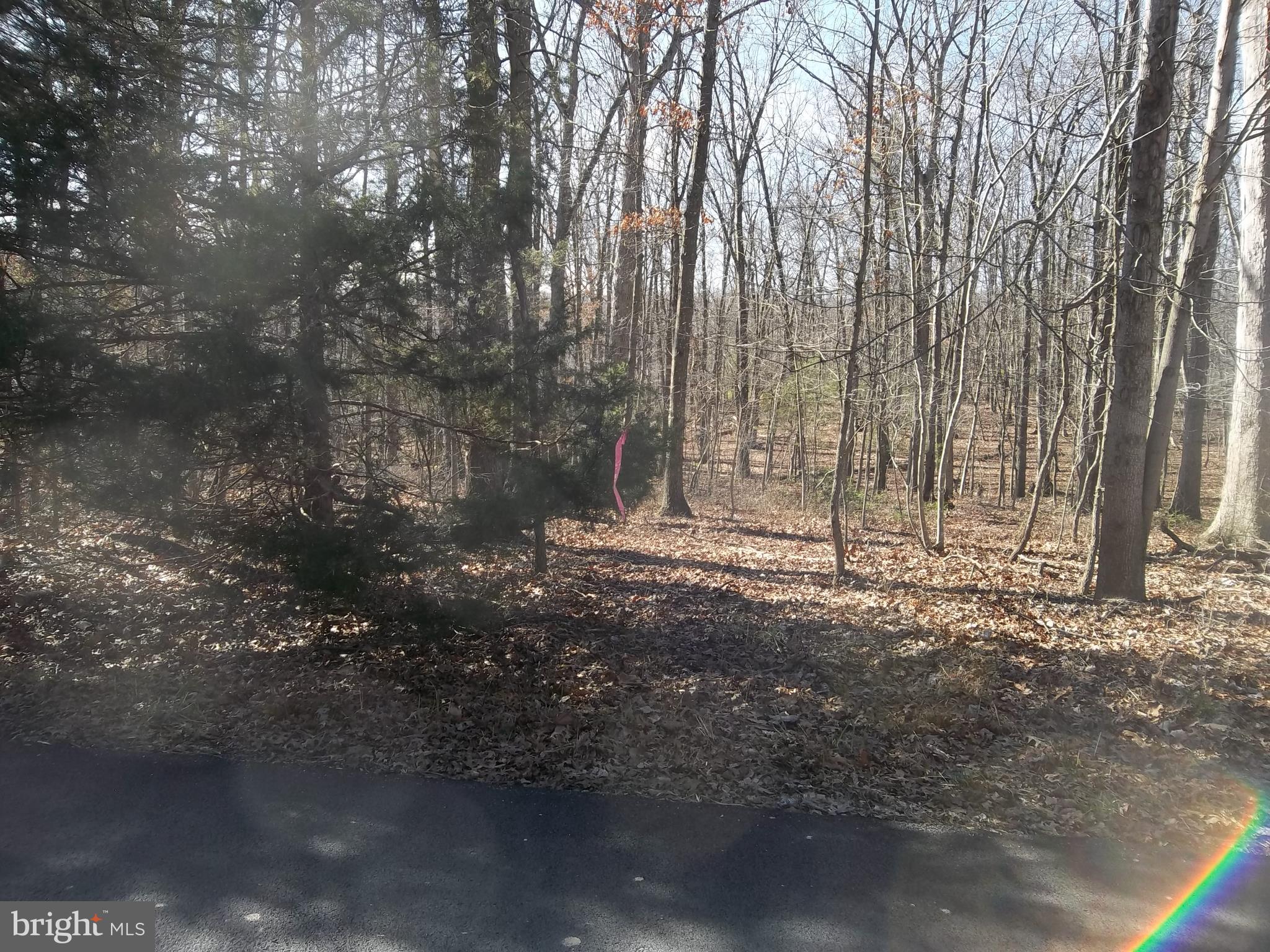 1167 Thunder Road Front Royal, VA 22630 - Photo 86 of 86 Extra 5 acre Lot boundary ribbon