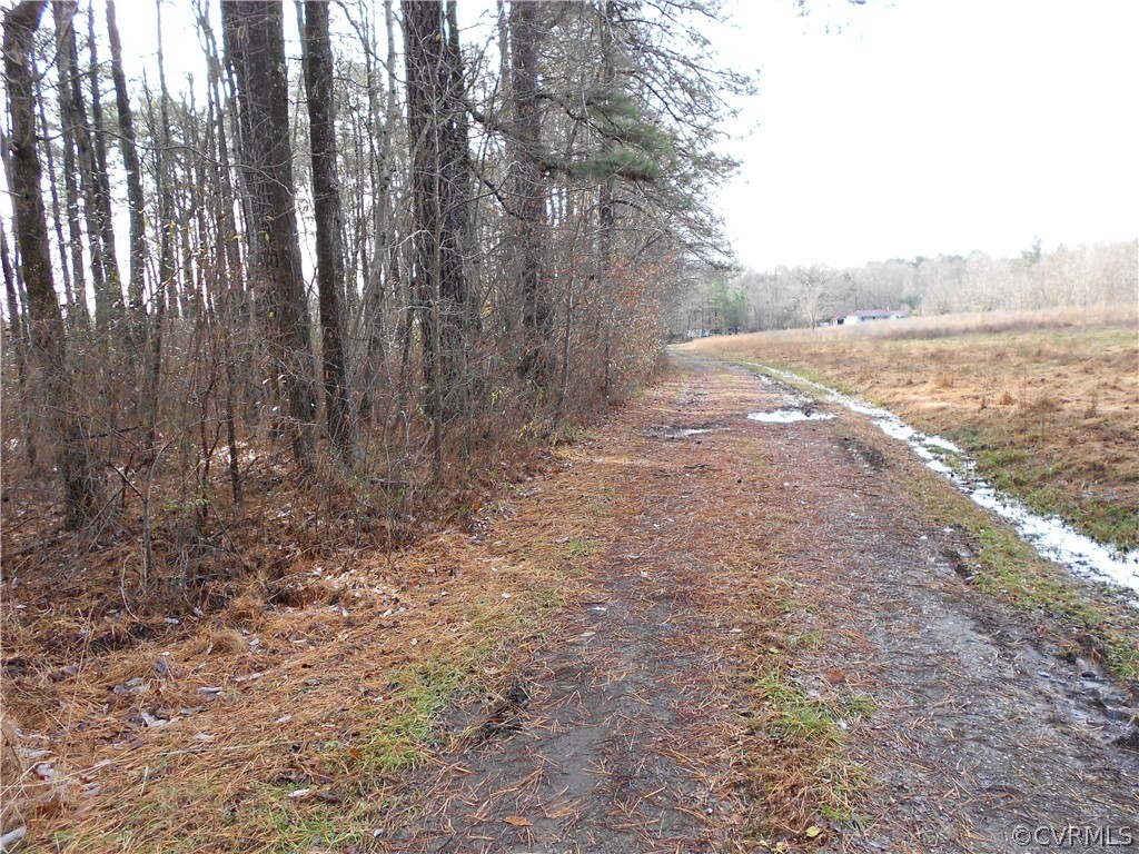 22305 Cox Road Sutherland, VA 23885 - Photo 3 of 3 Gallery Image 3