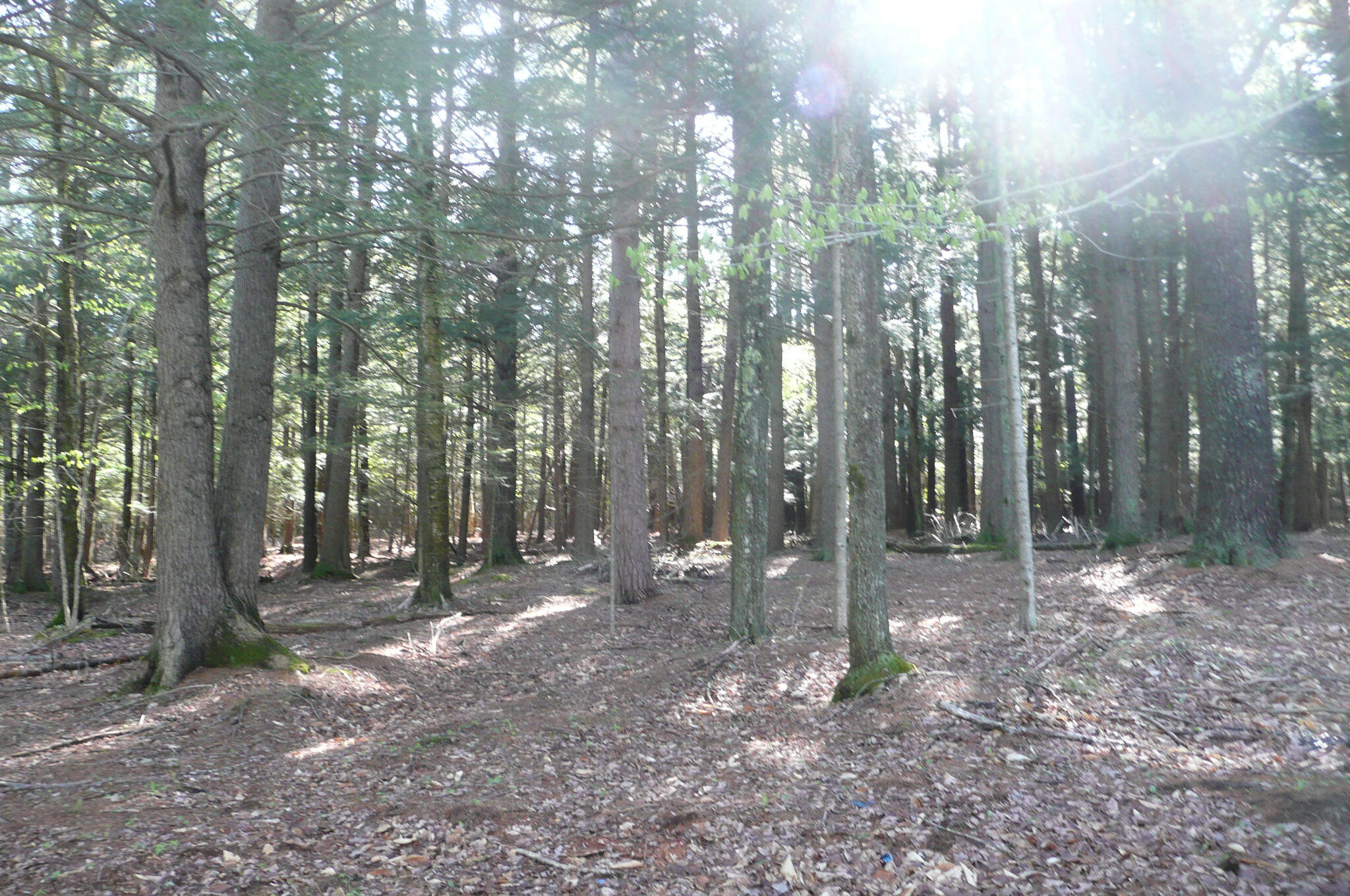 207 Mountfort Road North Yarmouth, ME 04097 - Photo 21 of 34 21