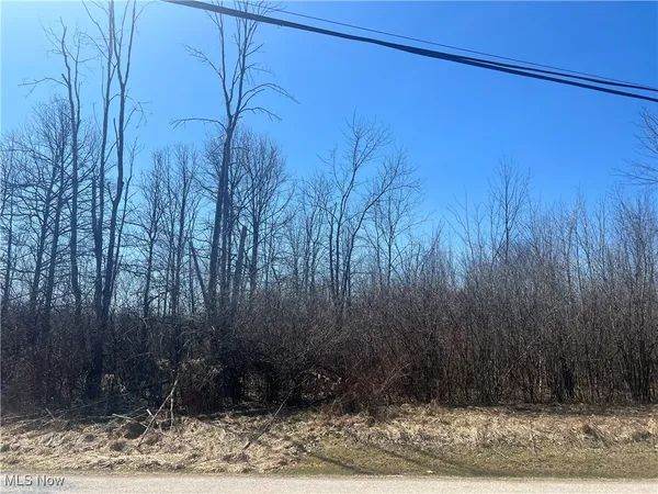 $15,000 | 681-682 Rome Rock Creek Road, Rock Creek, OH 44084