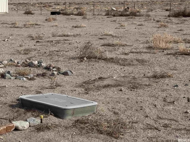 a view of a dry yard with wooden fence