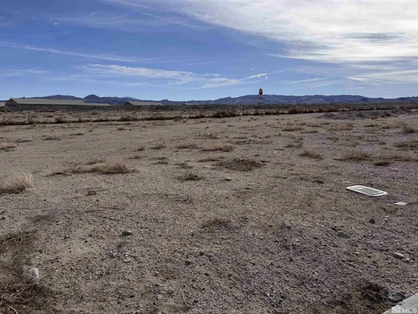 a view of a dry yard
