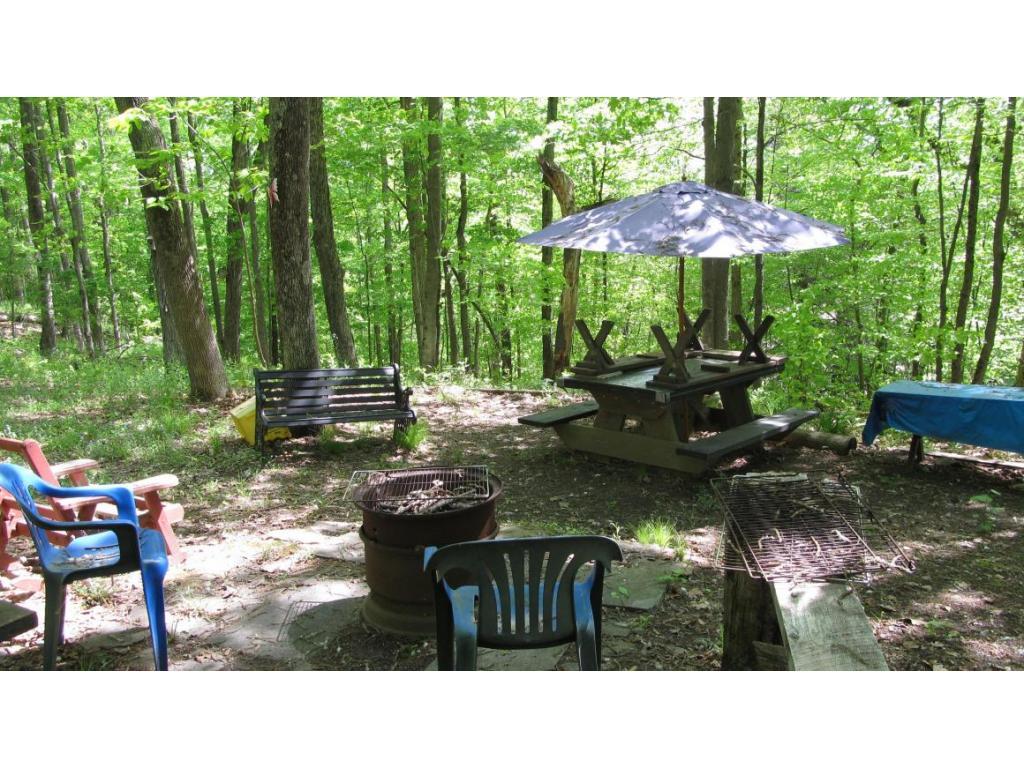 533 Drive Knapp Road North Newark Valley, NY 13811 - Photo 6 of 21 Gallery Image 6