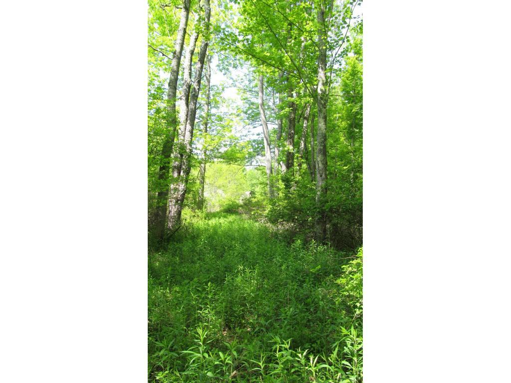 533 Drive Knapp Road North Newark Valley, NY 13811 - Photo 8 of 21 Gallery Image 8