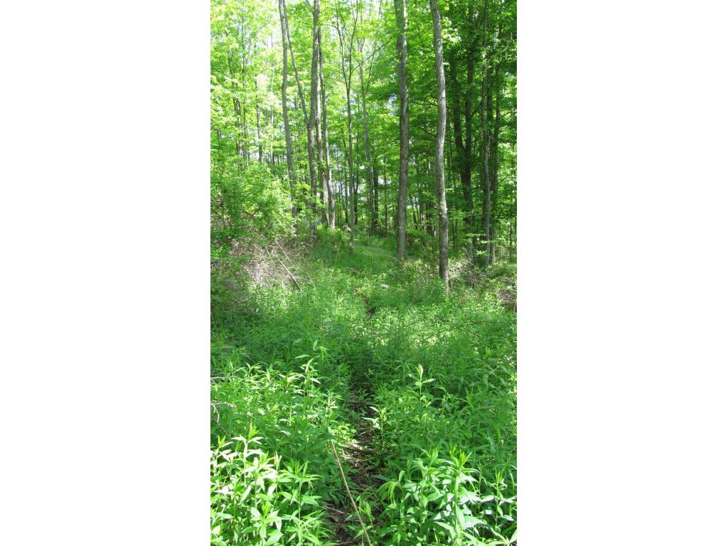 533 Drive Knapp Road North Newark Valley, NY 13811 - Photo 9 of 21 Gallery Image 9