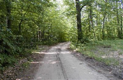 6290 East Filburn Road Fountain, MI 49410 - Photo 2 of 8 Additional Photo