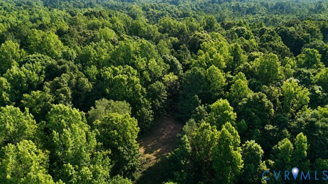 14711 Gatewood Road Dewitt, VA 23840 - Photo 5 of 5 Expansive wooded acreage featuring a dense canopy