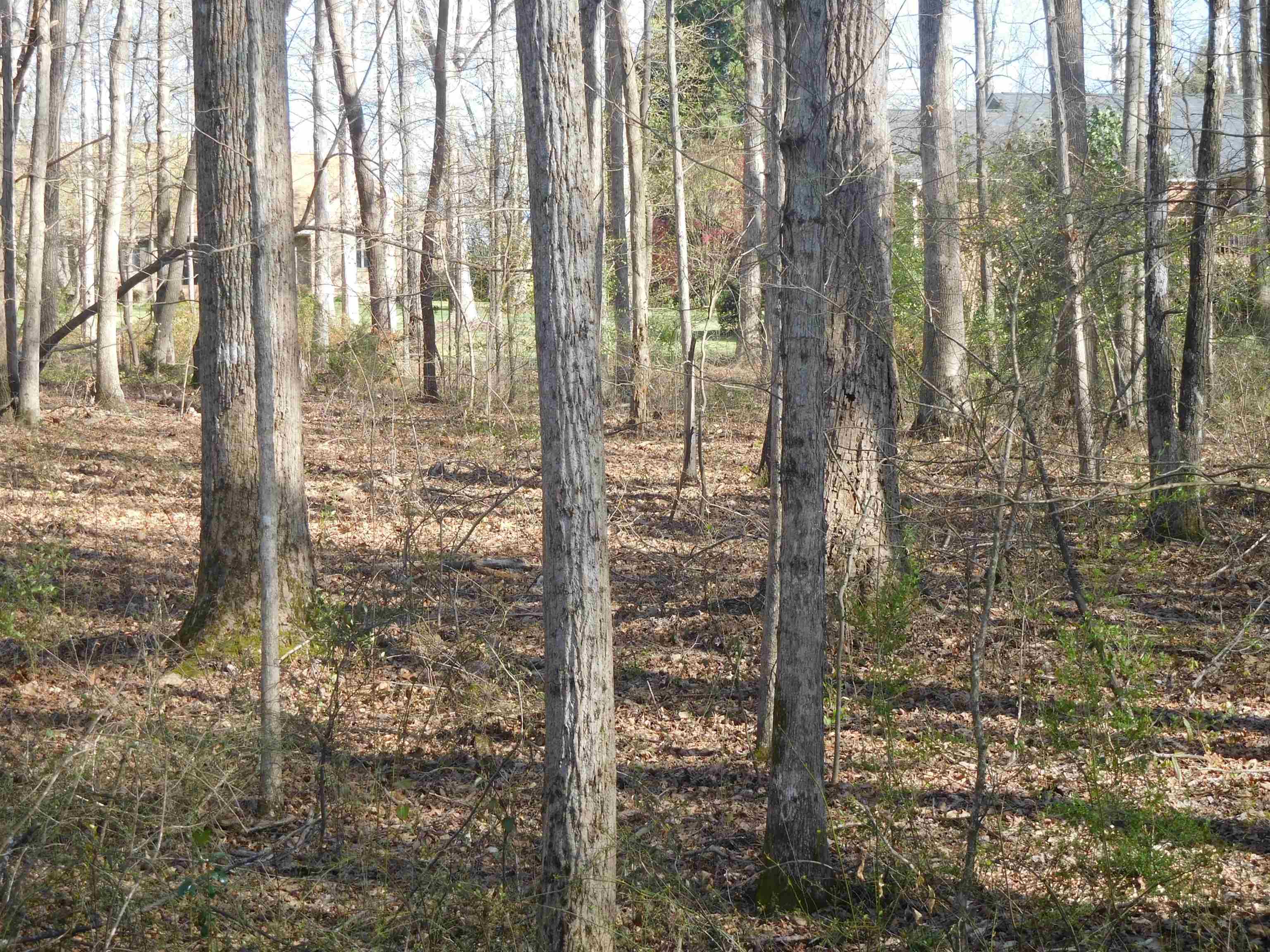 0 Hampton Drive Gaffney, SC 29341 - Photo 3 of 7