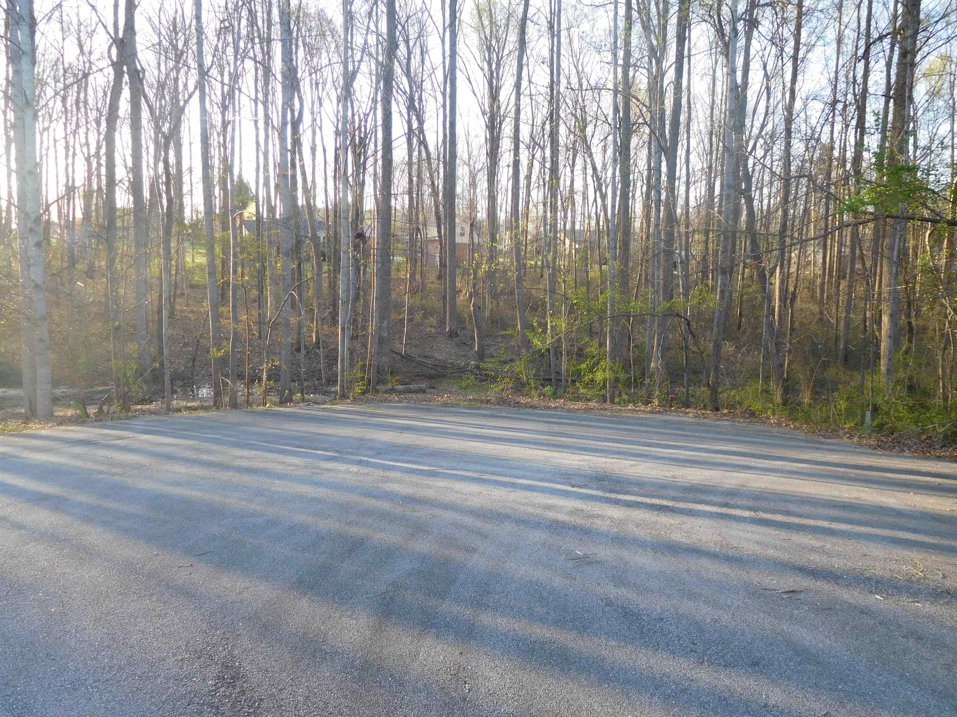 0 Hampton Drive Gaffney, SC 29341 - Photo 4 of 7