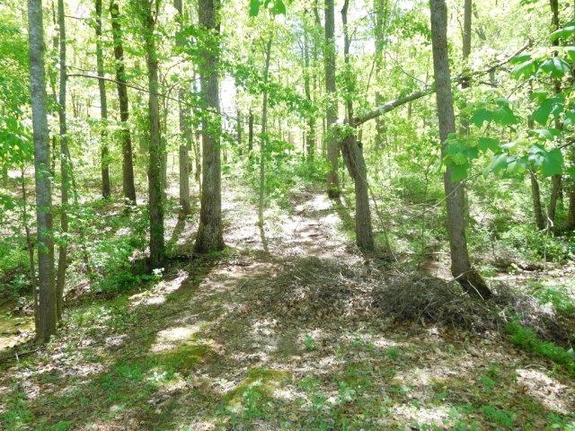 0 Hampton Drive Gaffney, SC 29341 - Photo 5 of 7