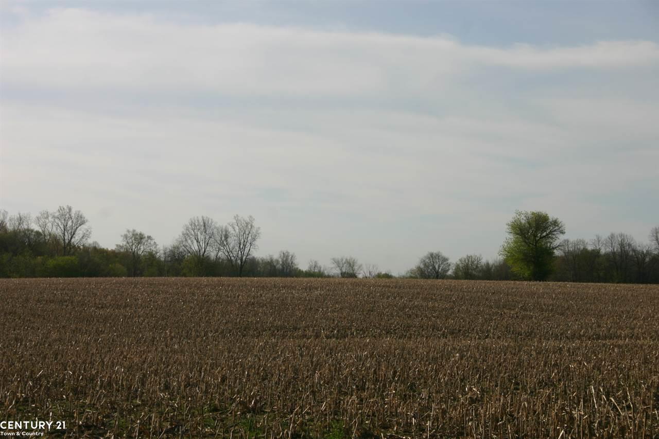 0 Corneil Road, Unit PARCEL 8 Imlay City, MI 48444 - Photo 24 of 30 Gallery Image 24