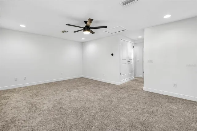 a view of small garden with palm trees