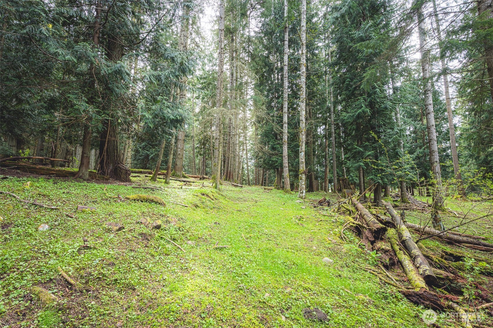 280 Oxenford Road Port Angeles, WA 98363 - Photo 11 of 26