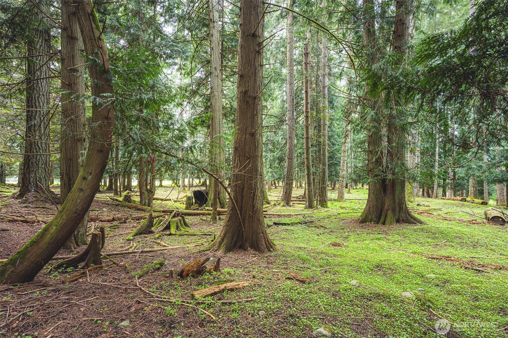 280 Oxenford Road Port Angeles, WA 98363 - Photo 12 of 26