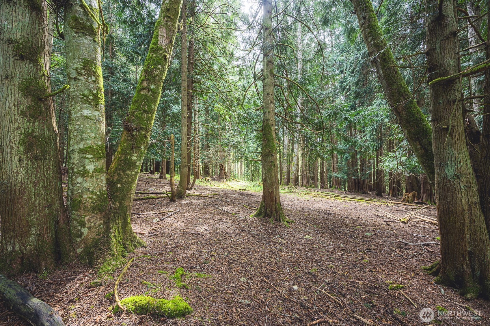 280 Oxenford Road Port Angeles, WA 98363 - Photo 13 of 26