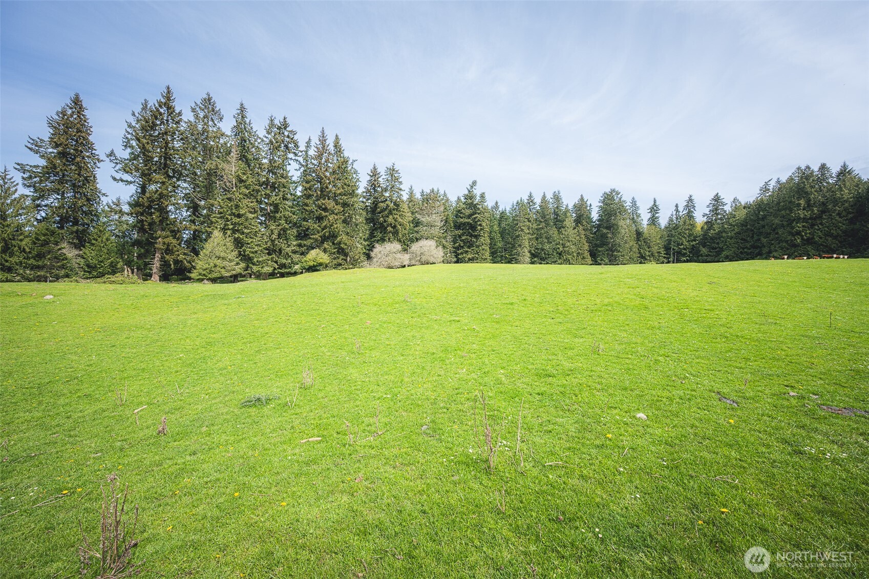 280 Oxenford Road Port Angeles, WA 98363 - Photo 16 of 26