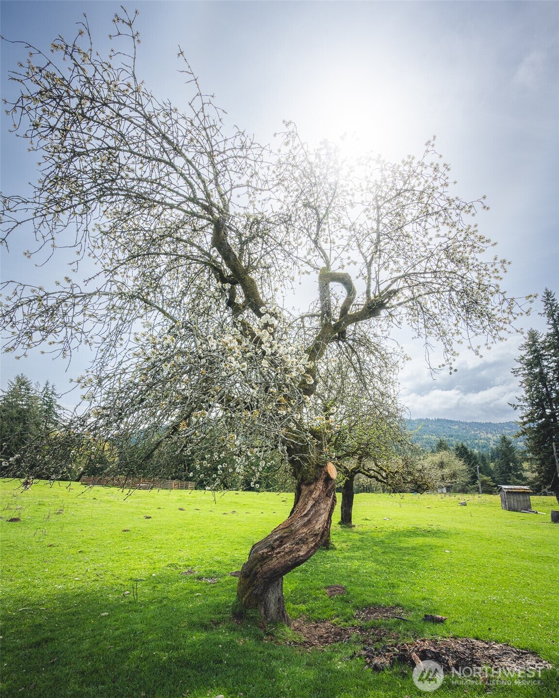 280 Oxenford Road Port Angeles, WA 98363 - Photo 19 of 26