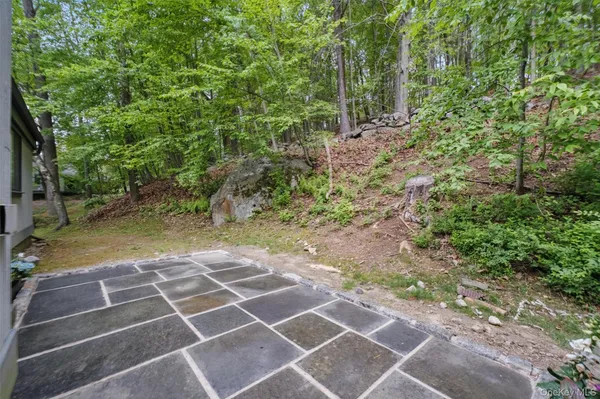 a view of a backyard