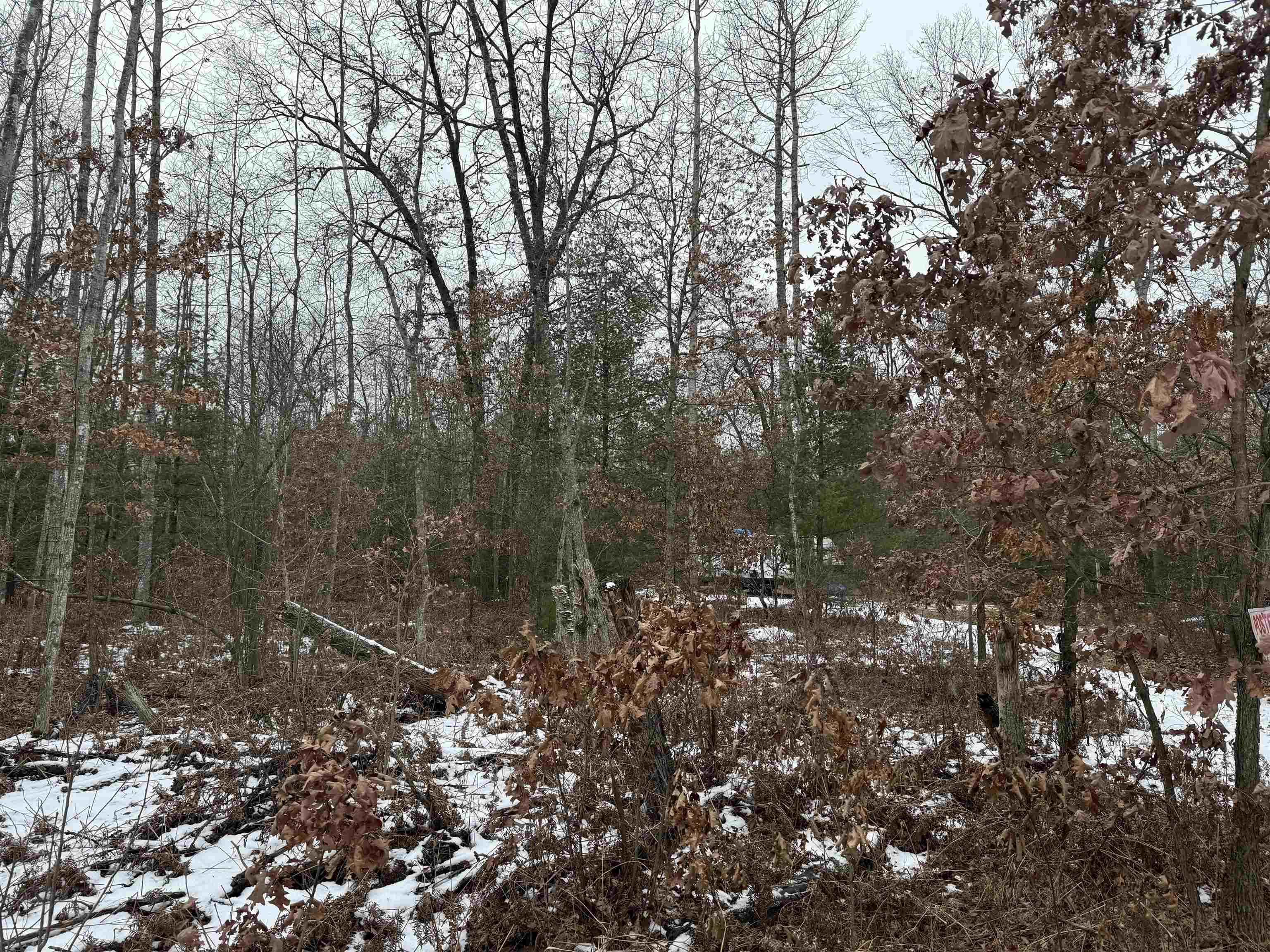 0 Lagrant Road Sterling, MI 48659 - Photo 20 of 31