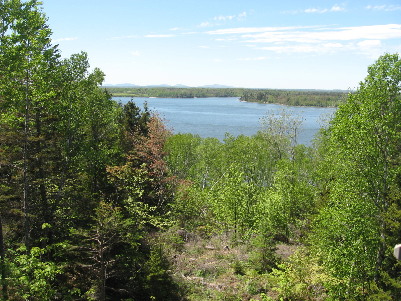 515 East Side Road Addison, ME 04606 - Photo 26 of 29 IMG_0021