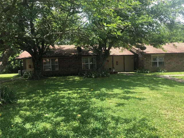 a backyard of a house with plants and large tree