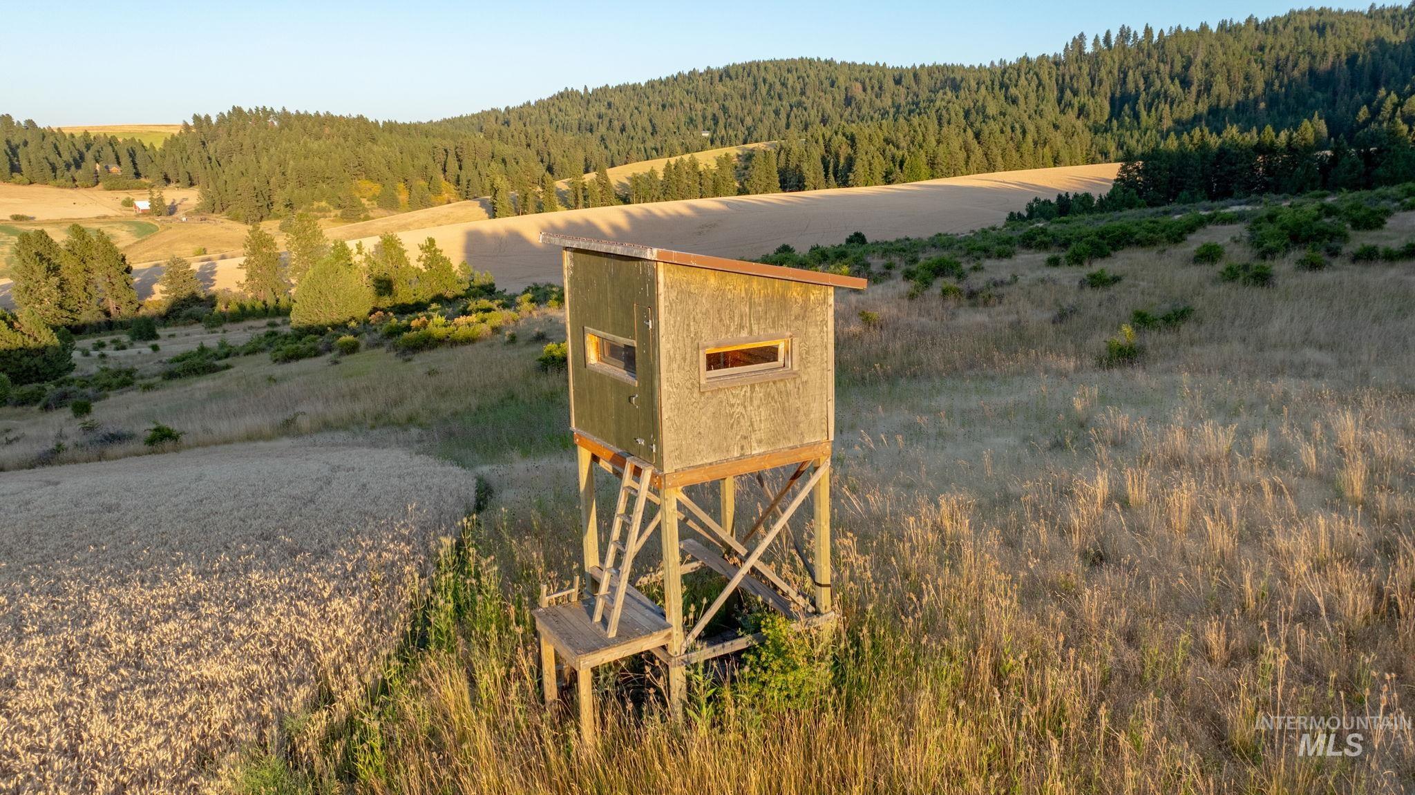 1199 Walker Road Viola, ID 83872 - Photo 38 of 50 Exterior view of a heavily wooded area and a mountain backdrop