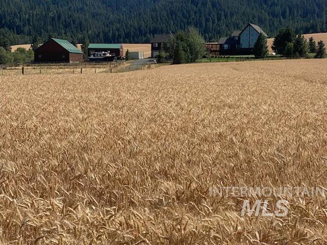 1199 Walker Road Viola, ID 83872 - Photo 46 of 50 View of yard with a view of rural / pastoral area, a view of trees, and a mountain view