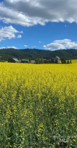 $1,495,000 | 1199 Walker Road, Viola, ID 83872