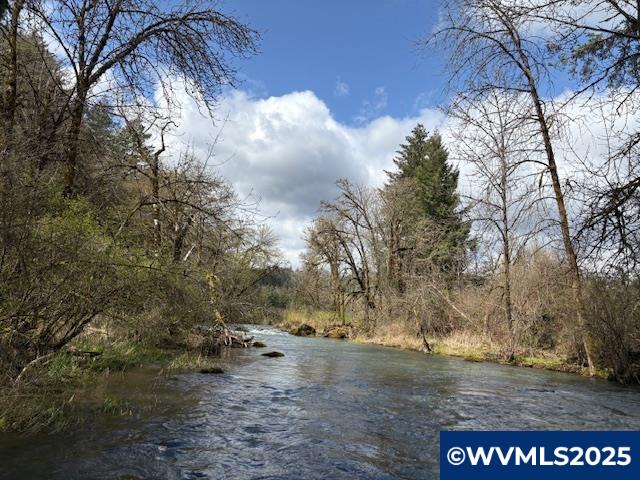 0 Northwest Old Railroad Grade Road Yamhill, OR 97148 - Photo 1 of 10