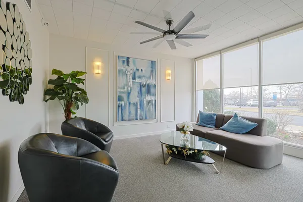 a living room with furniture and a potted plant