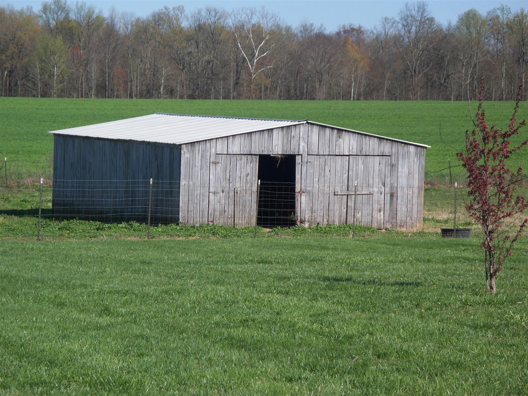166 Cook Road Portland, TN 37148 - Photo 4 of 11 a view of a backyard