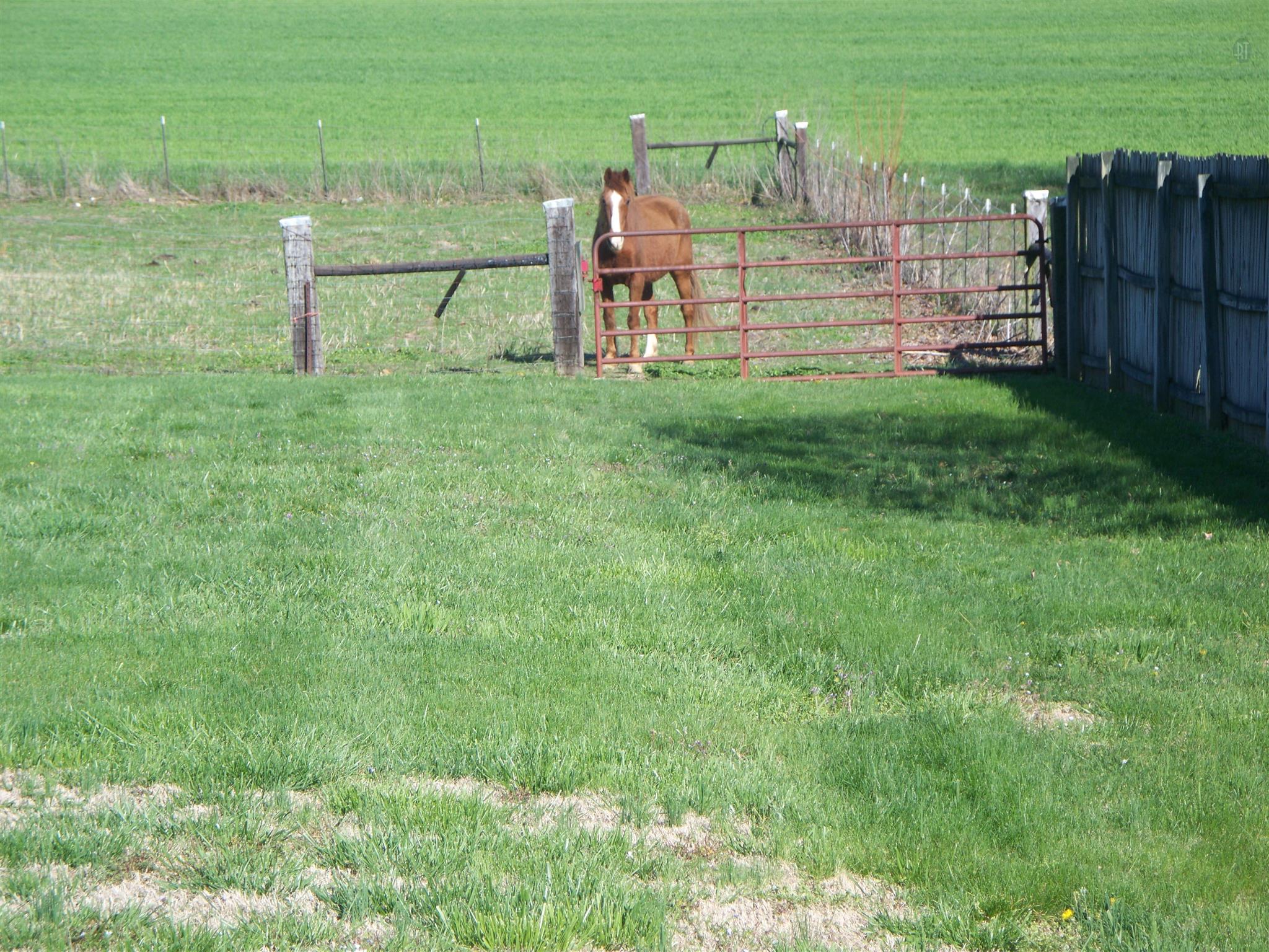 166 Cook Road Portland, TN 37148 - Photo 5 of 11 a view of a chair and table in the garden